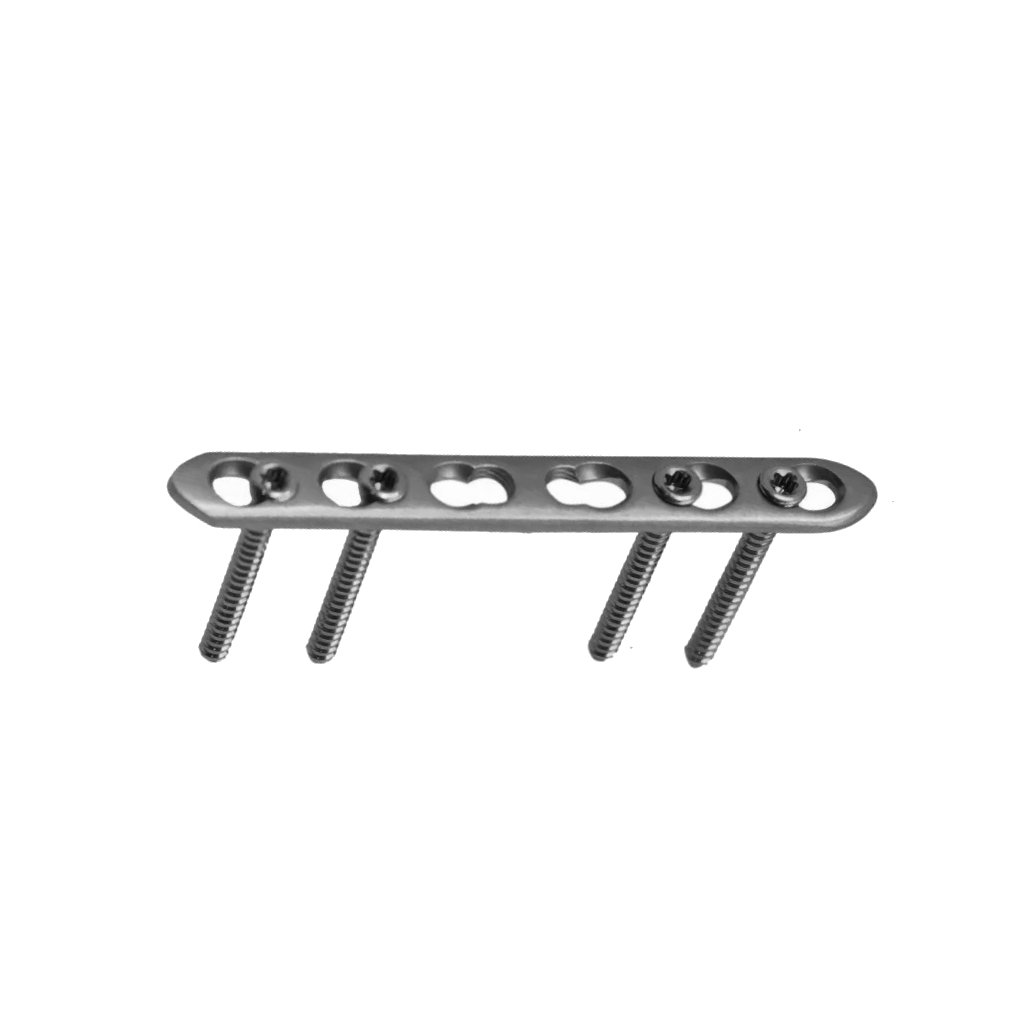 4.2 Ø2.0&2.4MM Straight LCP 2