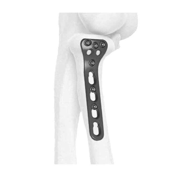 CREATOR: gd-jpeg v1.0 (using IJG JPEG v62), quality = 75