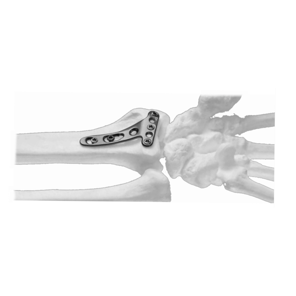 Screenshot from 2024-04-05 14-34-23