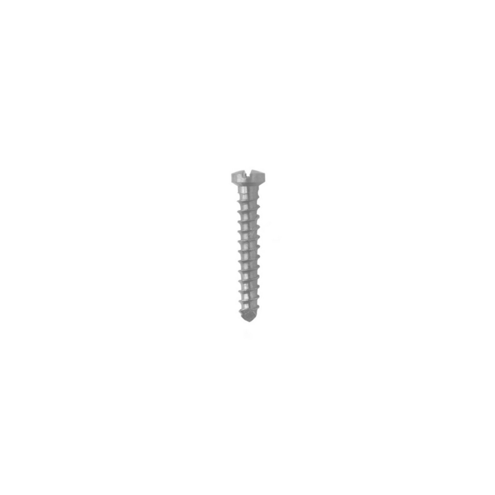 1.Ø1.5MM Vet Screw