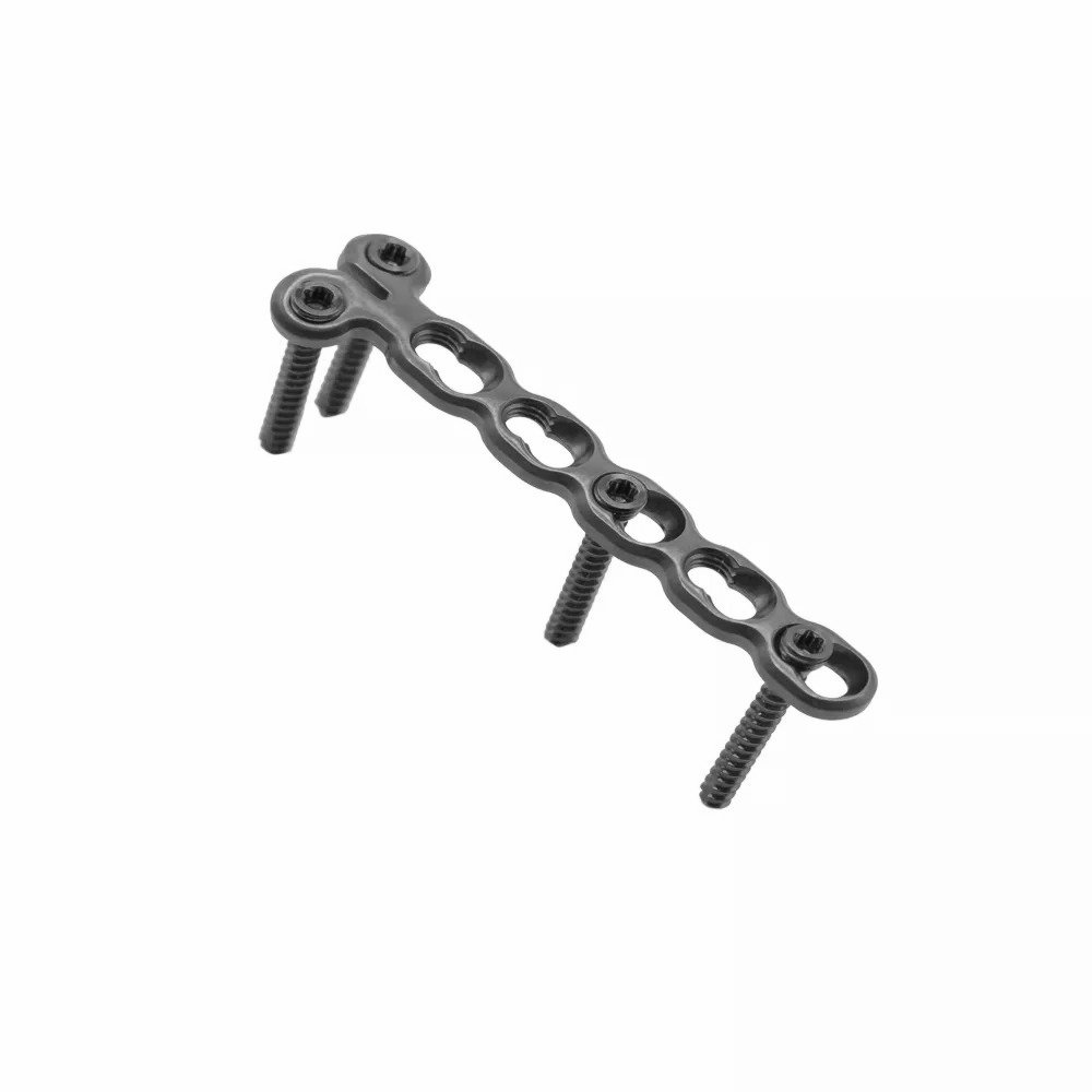 CONDYLAR LCP2 (copy)