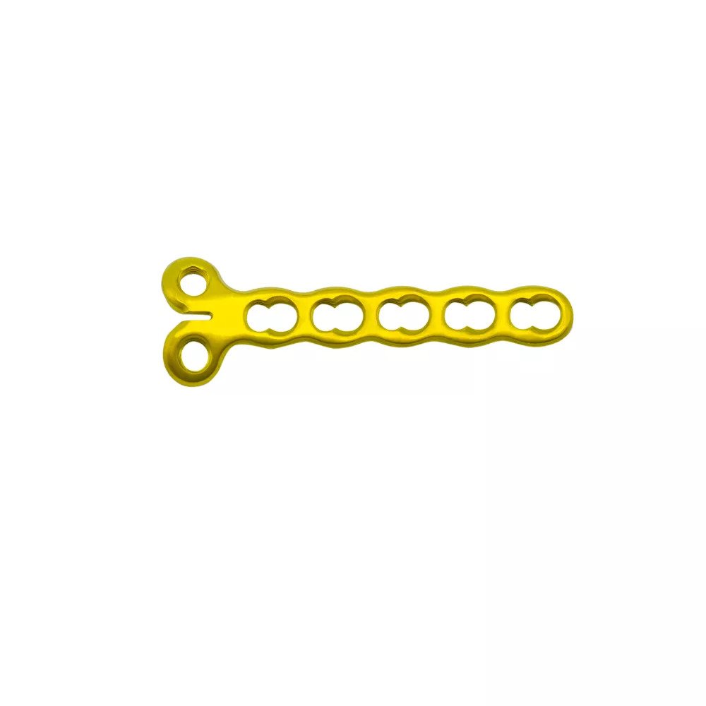 CONDYLAR LCP5