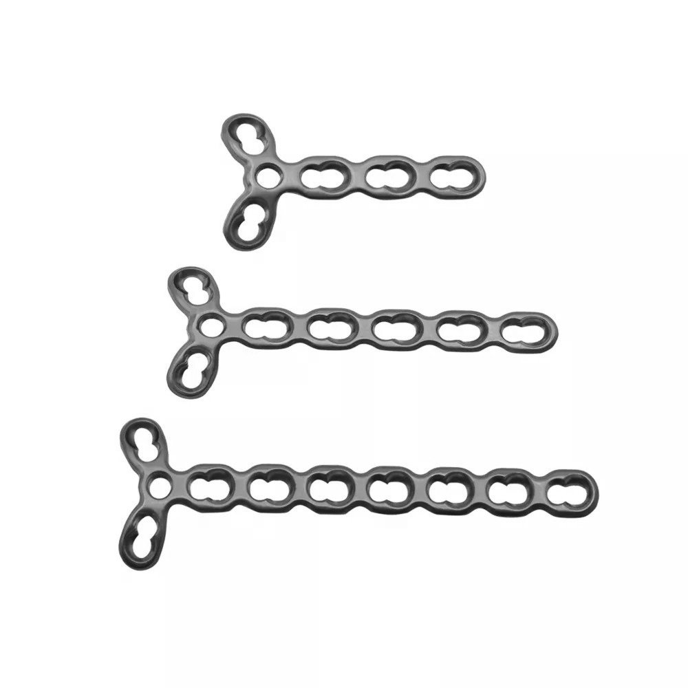 Y Adaption LCP2 (copy)