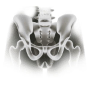 Pelvic & Hip Main