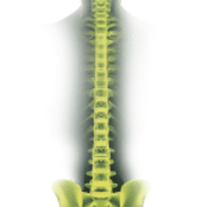 Spine Hover