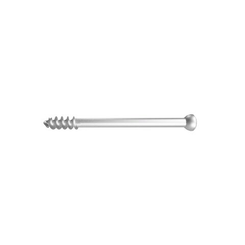 14.Ø6.5MM CANCELLOUS SCREW - 16MM THREAD.jpeg SS