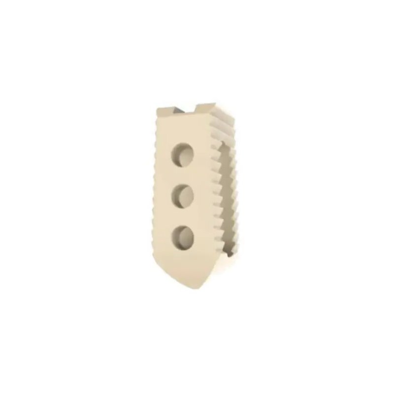15.Lordotic PLIF CagePeek.webp A (1)