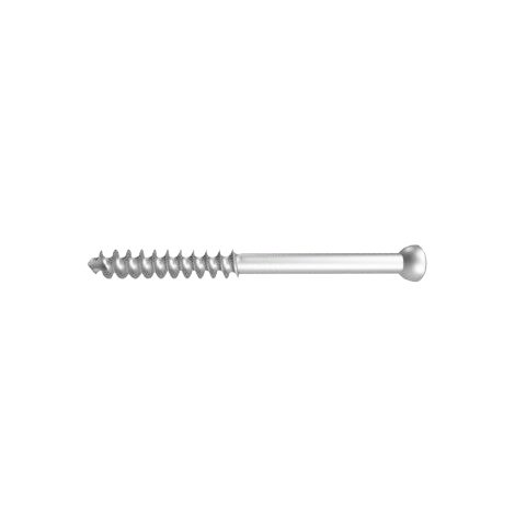 15.Ø6.5MM CANCELLOUS SCREW - 32MM THREAD.jpeg SS