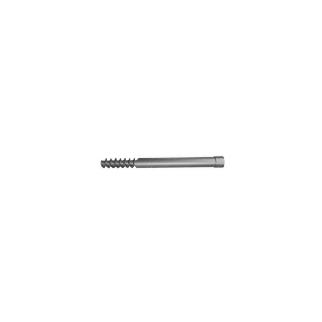 17.Ø6.4MM Proximal Femoral Screw
