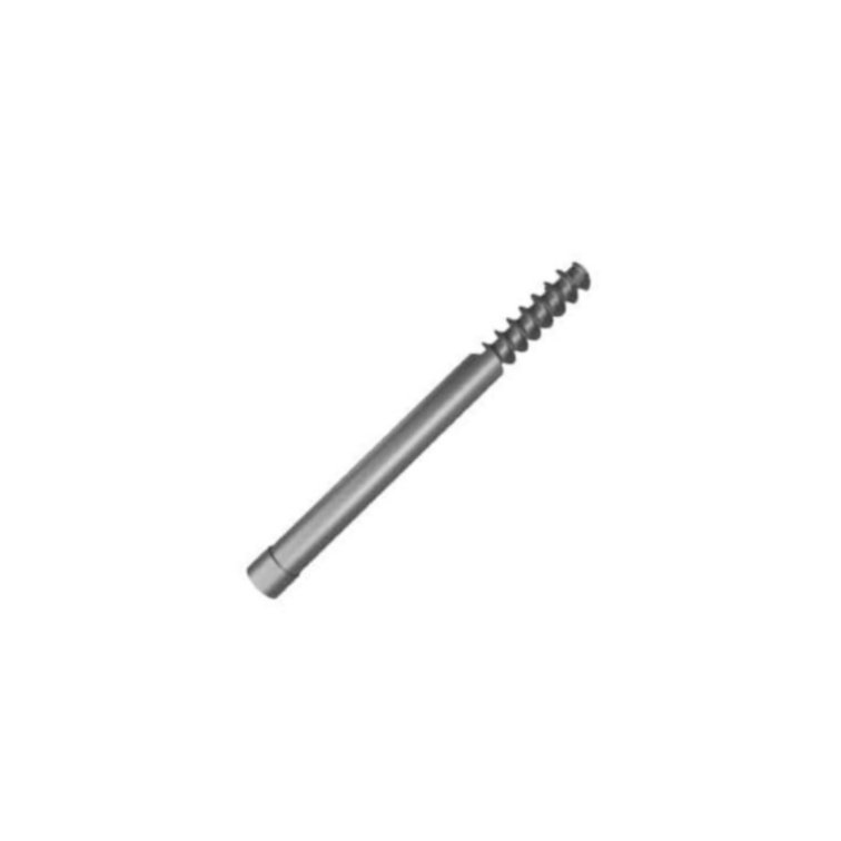 17.Ø6.4MM Proximal Femoral Screw.jpg N