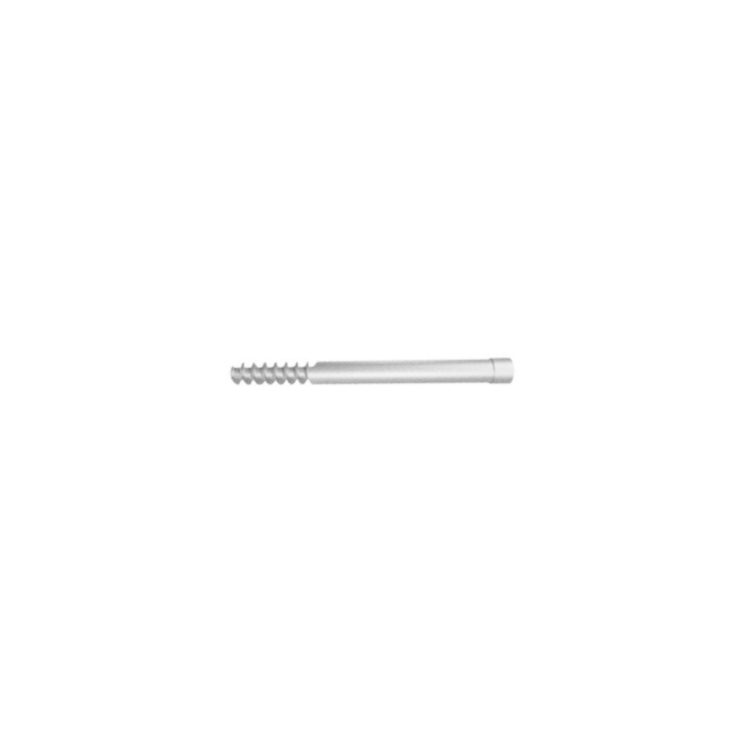 17.Ø6.4MM Proximal Femoral Screw.jpg SS