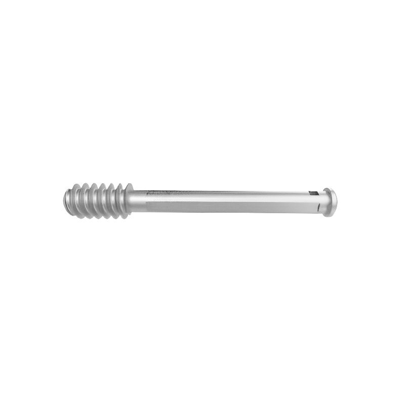 18.Ø12.5MM DHS SCREW WITH COMPRESSION SCREW-01.jpeg SS