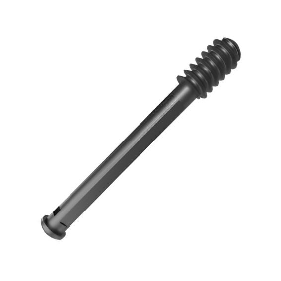 18.Ø12.5MM DHS SCREW WITH COMPRESSION SCREW.jpeg NL
