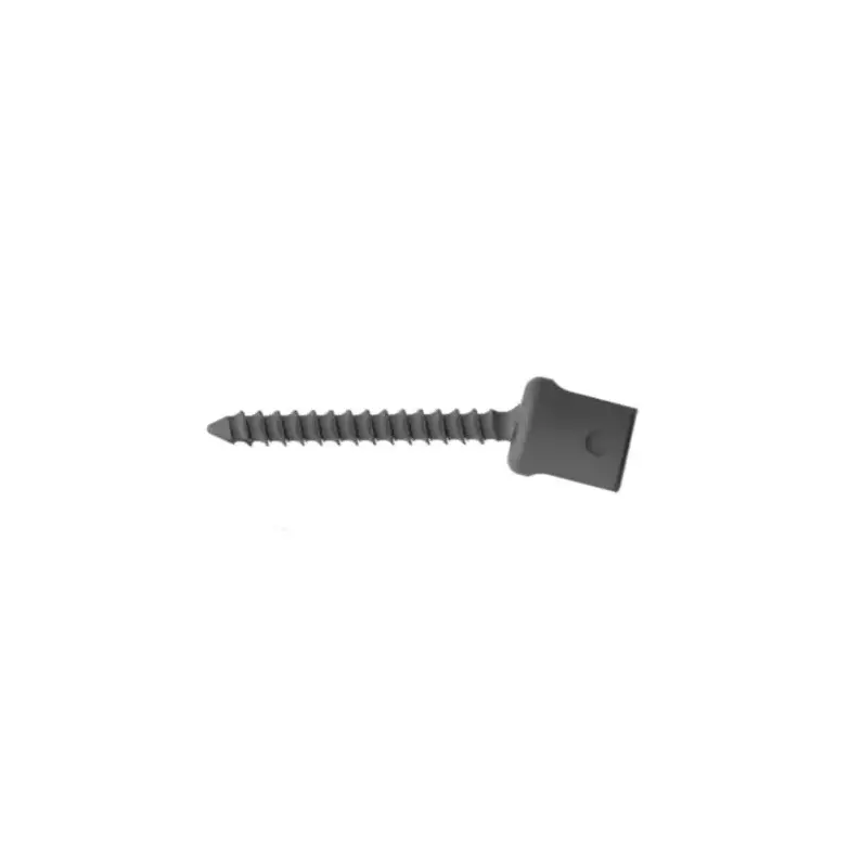 18.Posterior Cervical Screw