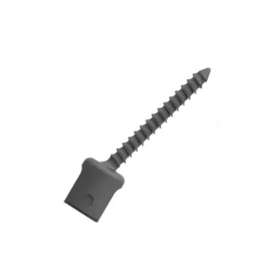 18.Posterior Cervical Screw .webp A