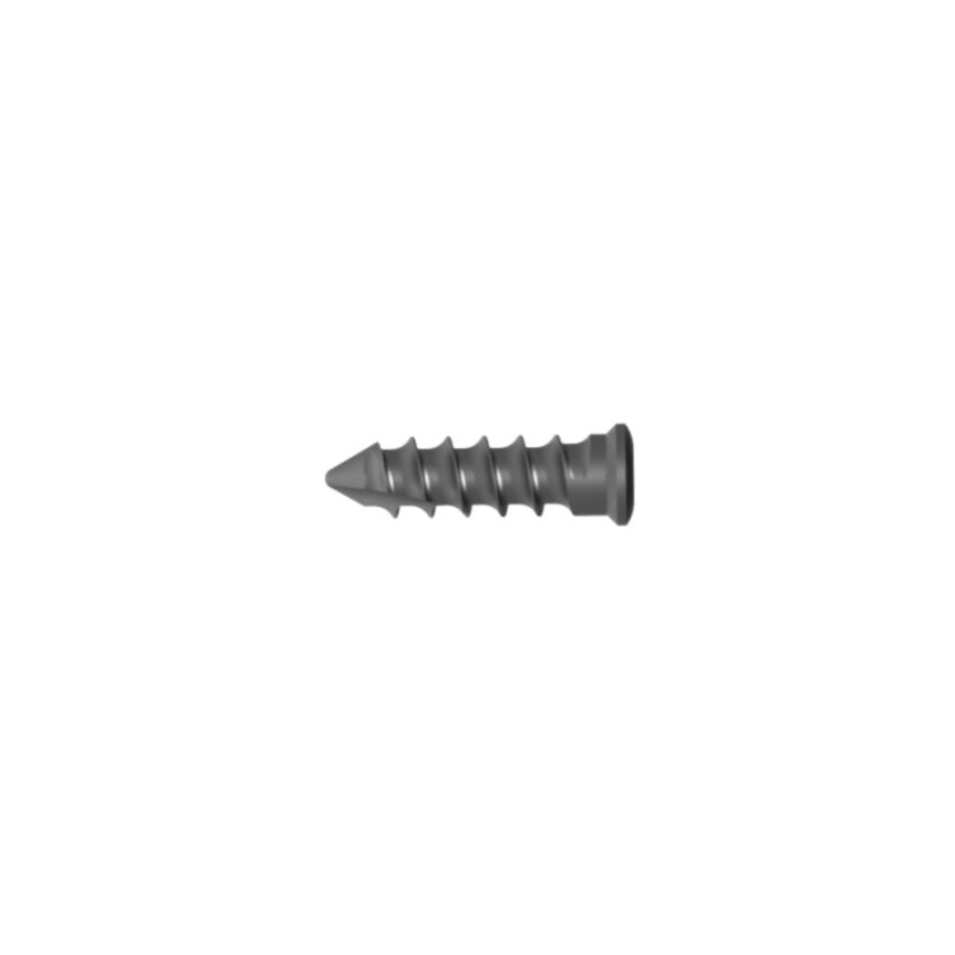 2.Anterior Cervical Screw Self Tapping