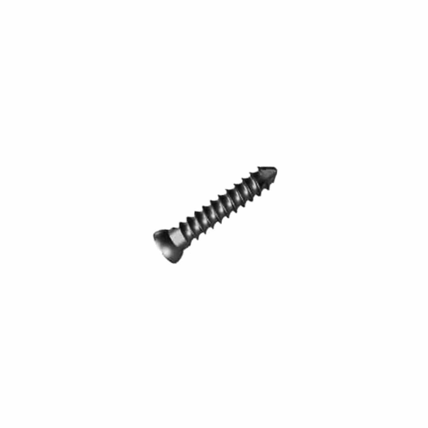 2.Ø2.4MM CORTICAL SCREW .jpg NL
