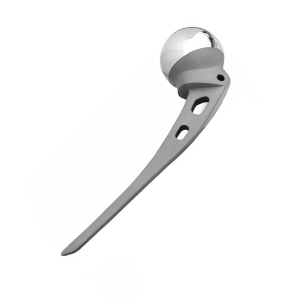 3.Austin Moore Hip Prosthesis Standard Stem.jpg A (1)