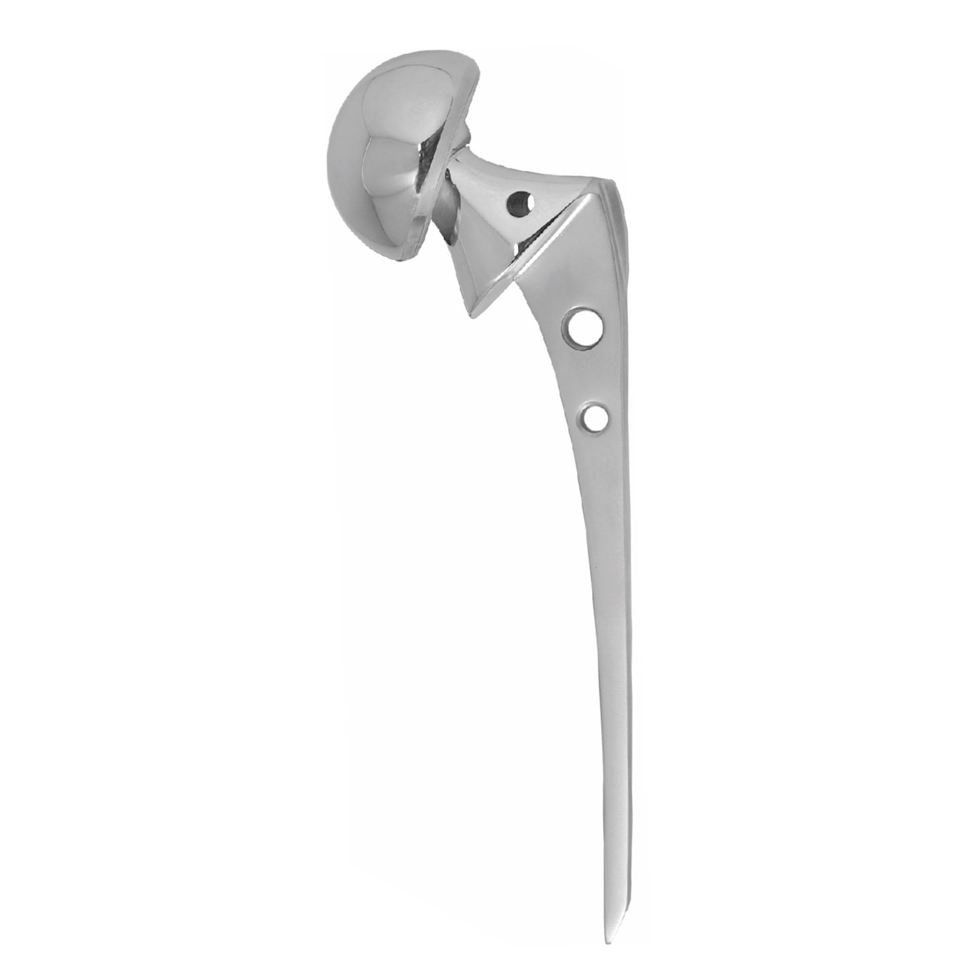 3.Bipolar Prosthesis High Collar Fenestrated (1)