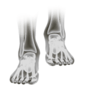Foot & Ankle Main