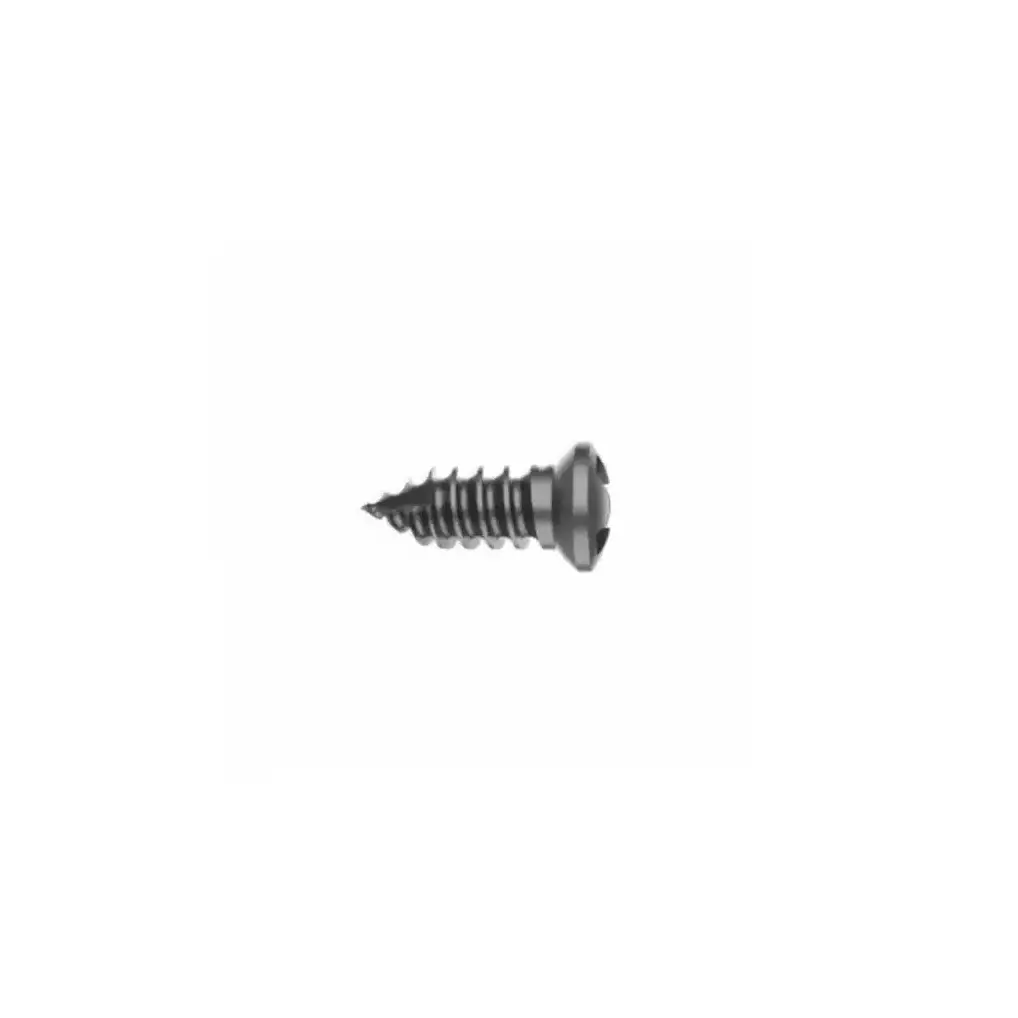 33.Posterior Laminar Screw (1)