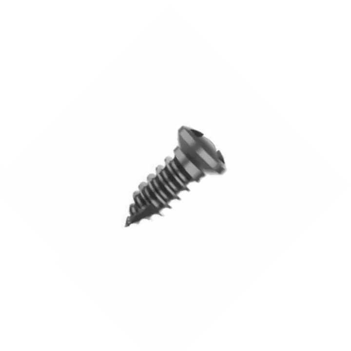 33.Posterior Laminar Screw.webp A