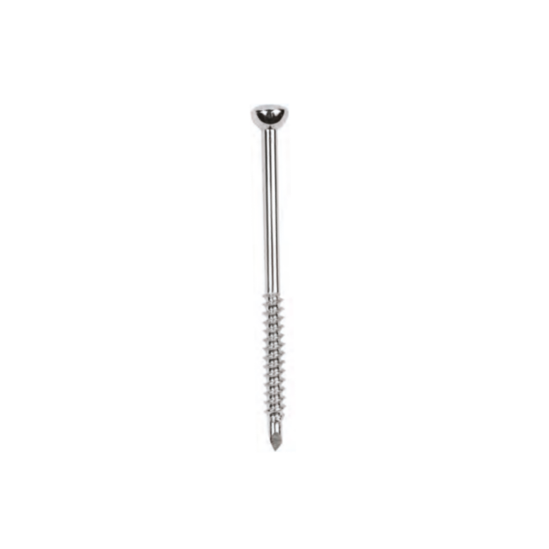 36.Ø4.5MM Malleolar Screw (1)