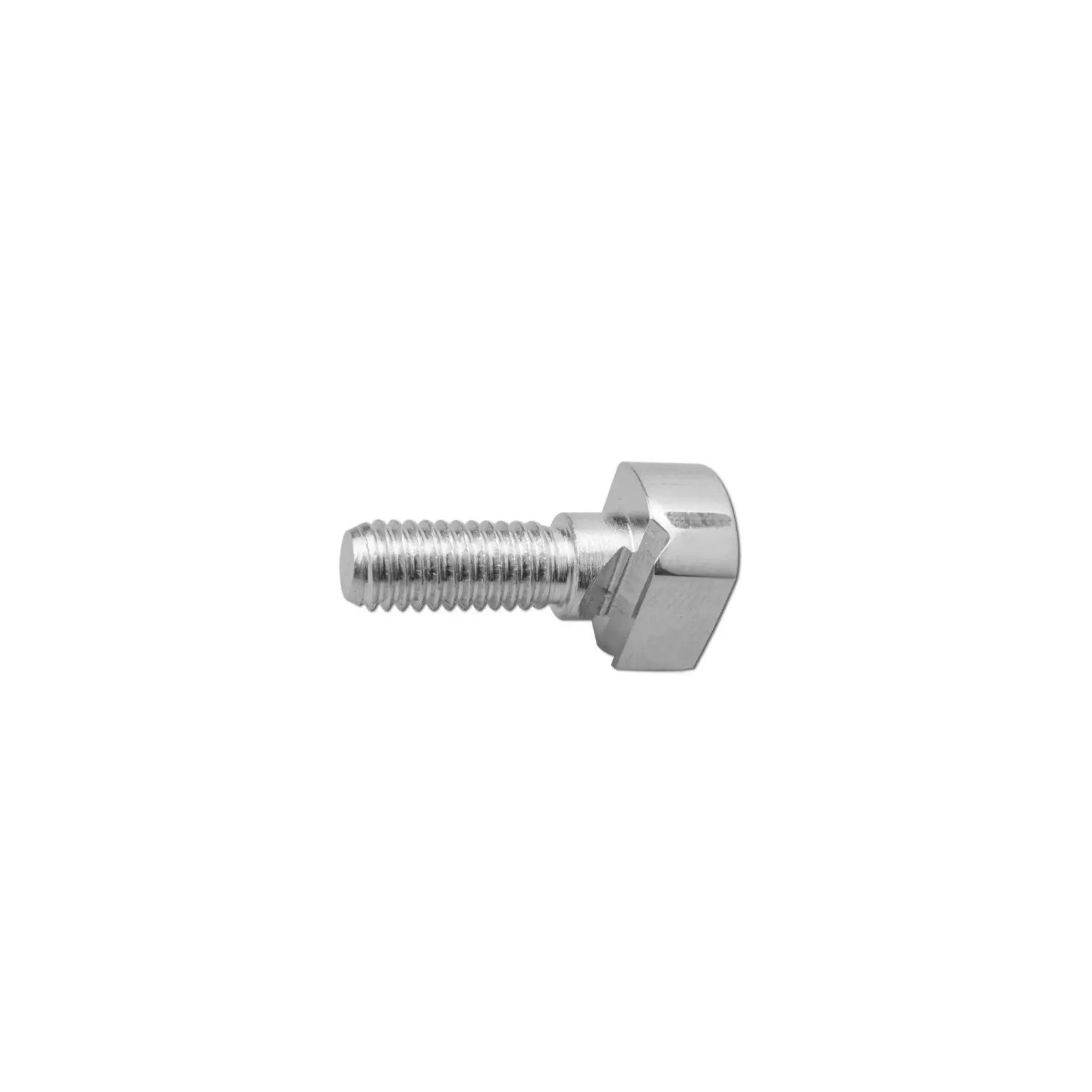 46.Wire Fixation Bolt Slotted (1)