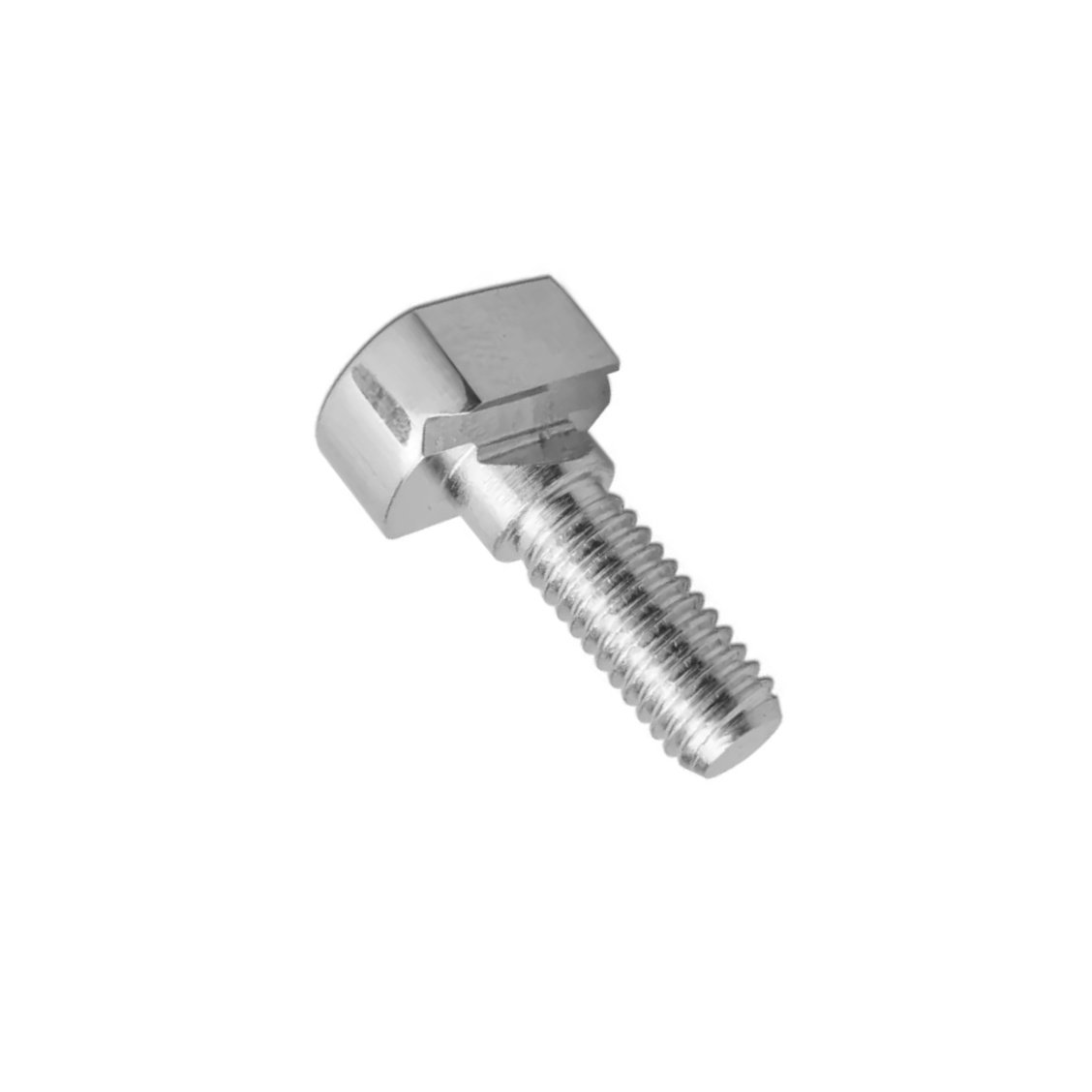 46.Wire Fixation Bolt Slotted.jpg A