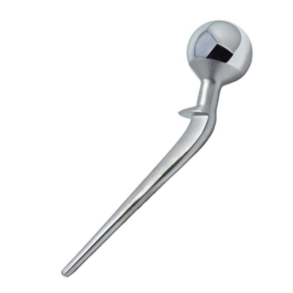 6.Lazcano Hip Prosthesis-02.jpeg