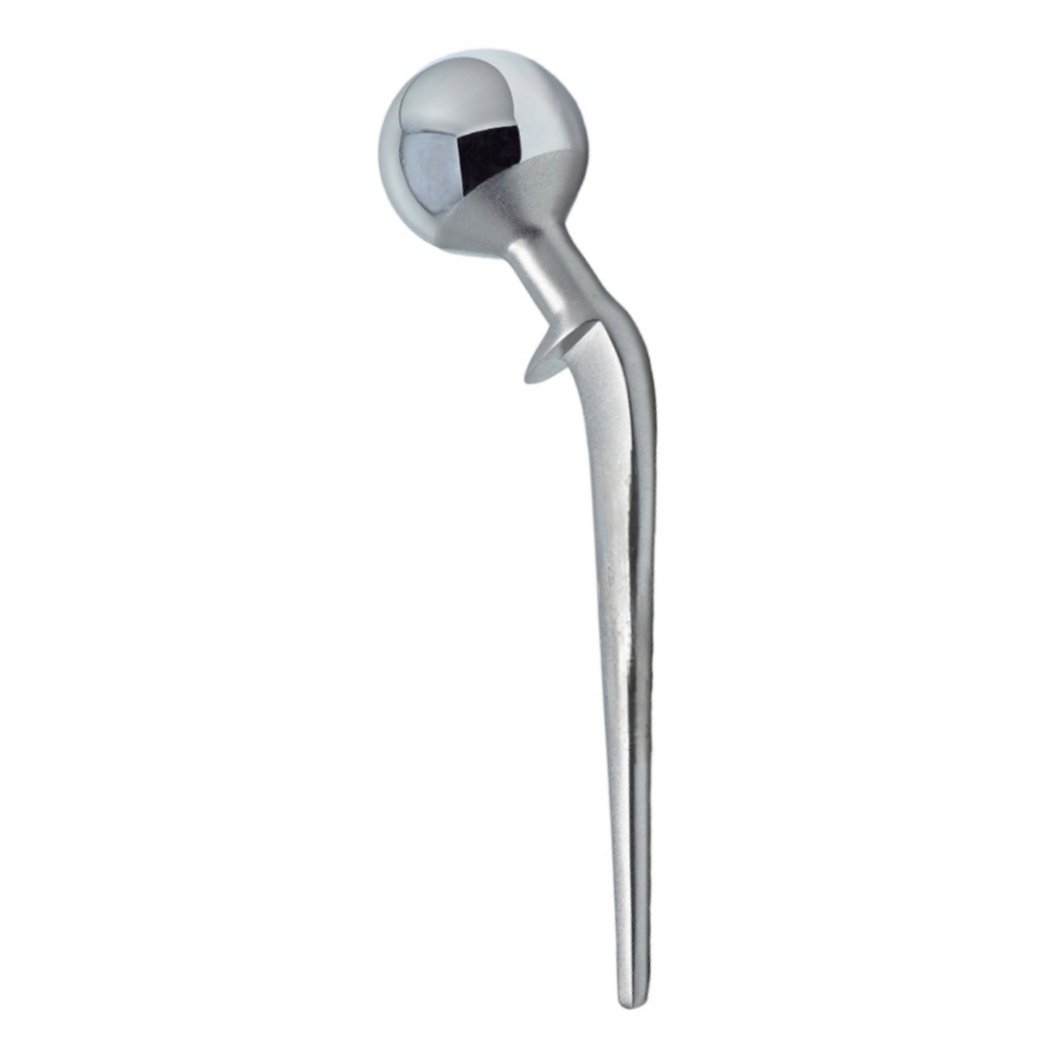 6.Lazcano Hip Prosthesis (1)