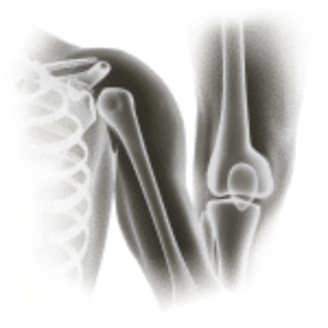 Sports Medicine Main