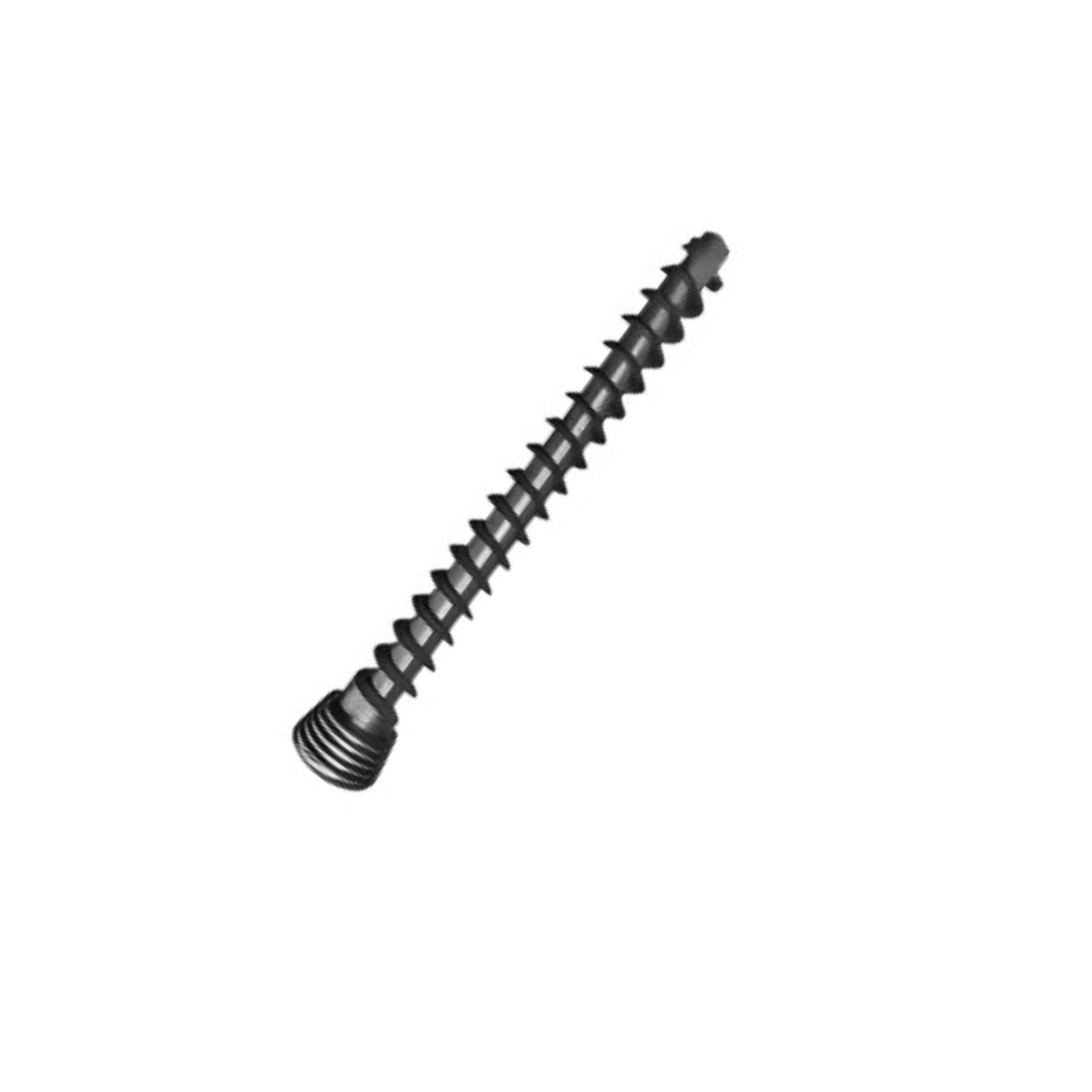 7.Ø3.5MM LOCKING CANCELLOUS SCREW FULL THREAD (1).jpg SS