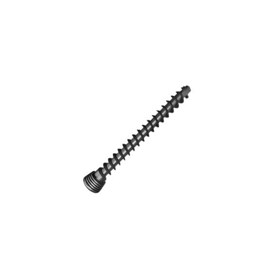 8.Ø4MM LOCKING CANCELLOUS SCREW FULL THREAD (1).jpg SS