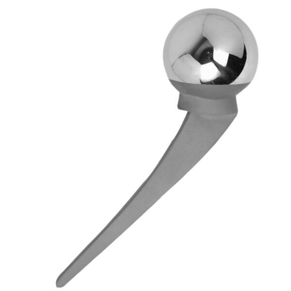 8.Thompson Hip Prosthesis Plain Stem.jpg A