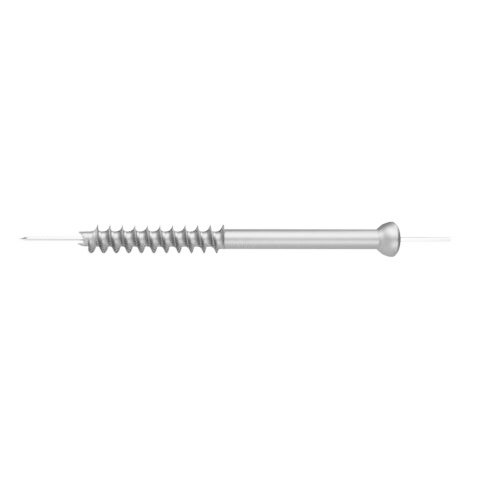 9.Ø6.5MM CANNULATED CANCELLOUS SCREW - 32MM THREAD.jpeg SS
