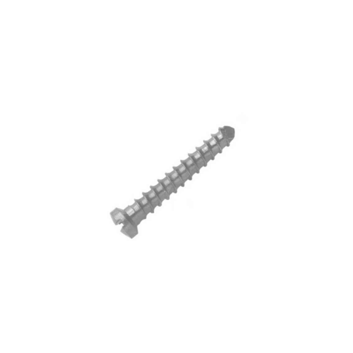 1.Ø1.5MM Vet Screw .jpeg V