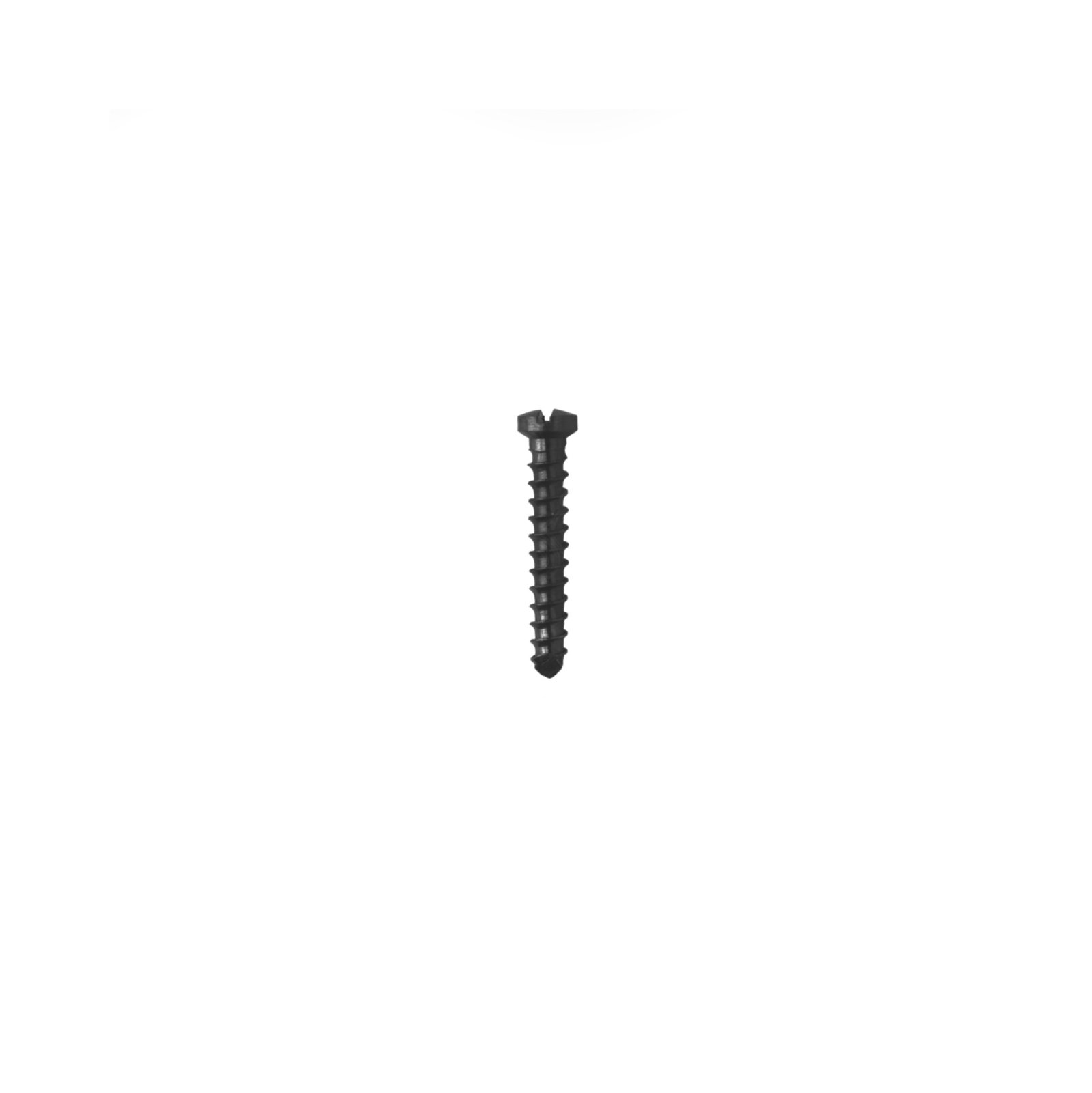 1.Ø1.5MM Vet Screw .jpeg ti