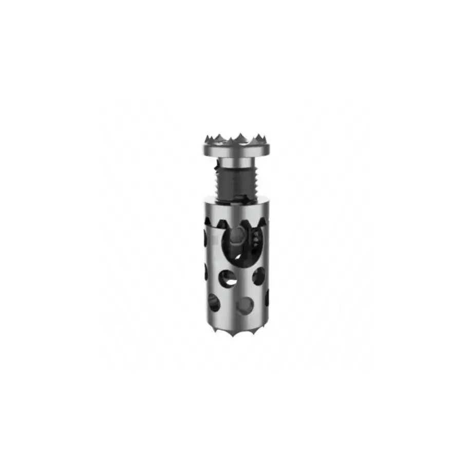11.Expandable Cage (1)