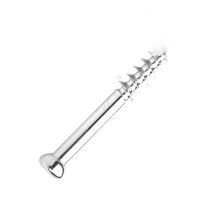 15.Ø6.5MM Vet Cancellous Bone Screw, 16MM Thread.jpeg V (2)
