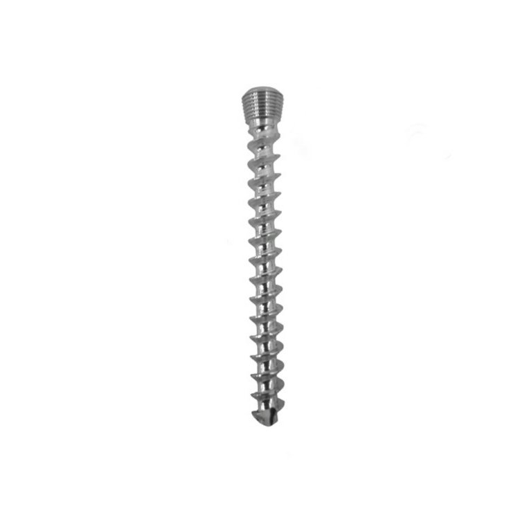 23.Ø3.5MM Vet Cancellous Locking Screw Self Tapping