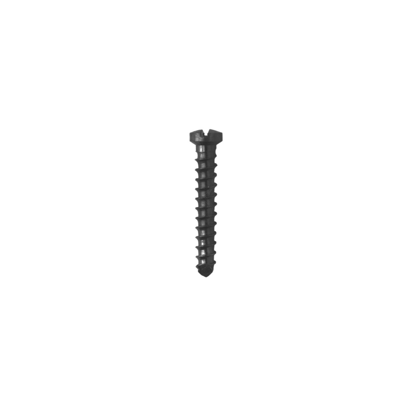 4.Ø1.7MM Vet Screw .jpeg ti