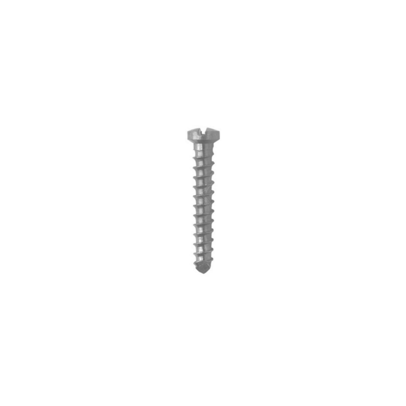 4.Ø1.7MM Vet Screw (1)