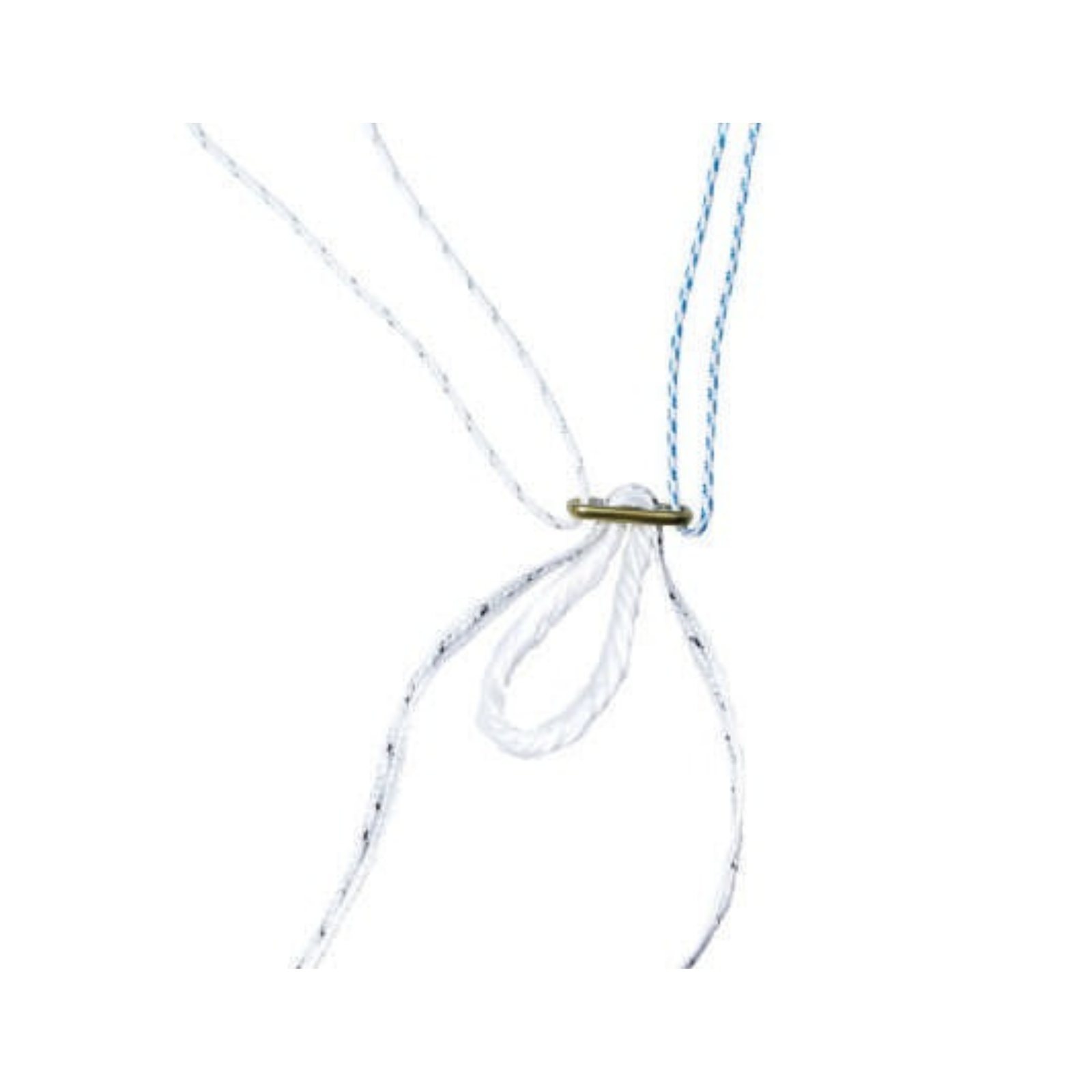 FIXED LOOP BUTTON INTERNAL BRACE (P4)