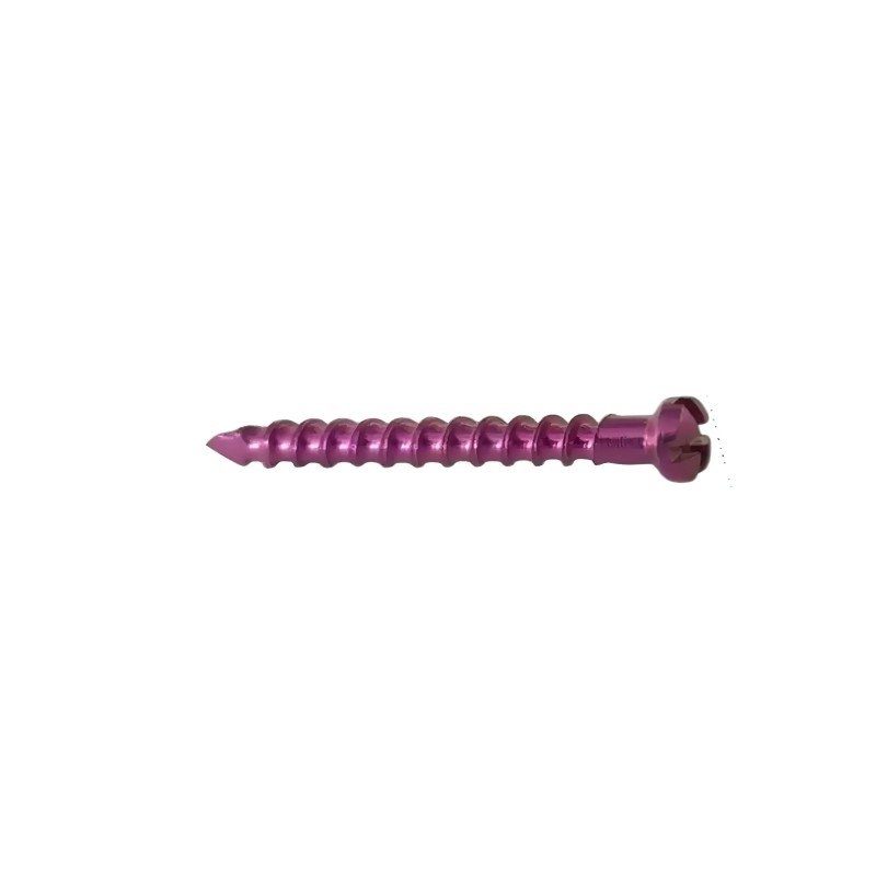 21.Ø1.5MM Cross Screw (1)