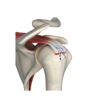 Untitled design (75)