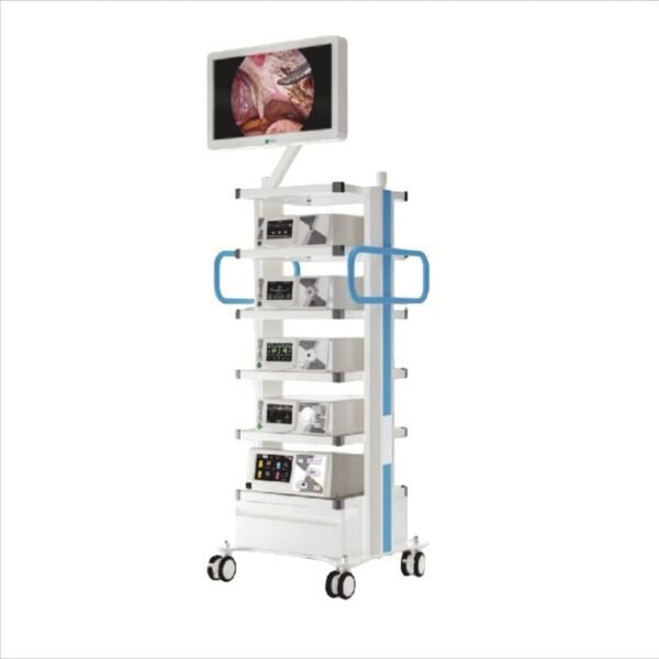 medical prosthesis